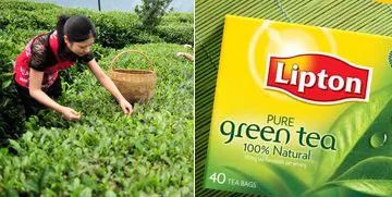 中國茶葉產(chǎn)業(yè)集群品牌聯(lián)盟問世 能為行業(yè)帶來什么