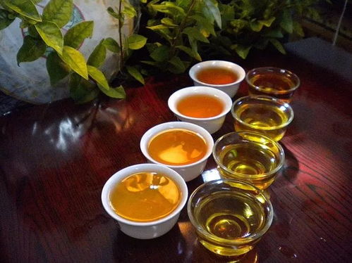 陜西推廣地域特色產(chǎn)業(yè) 86個地標(biāo)產(chǎn)品成脫貧富民 金招牌